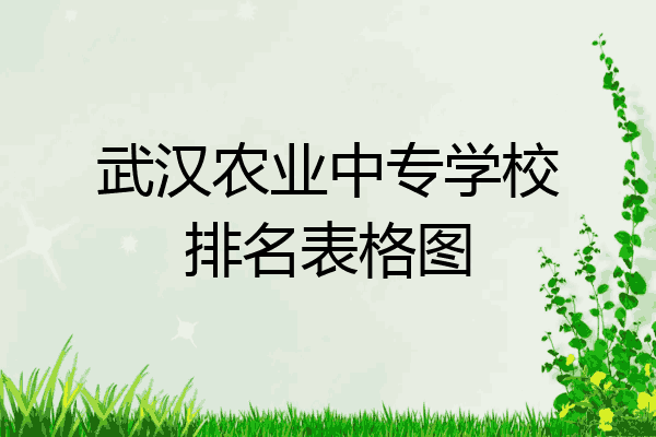 武汉农业中专学校排名表格图