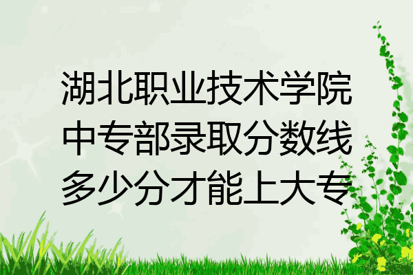 湖北职业技术学院中专部录取分数线多少分才能上大专