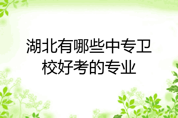 湖北有哪些中专卫校好考的专业