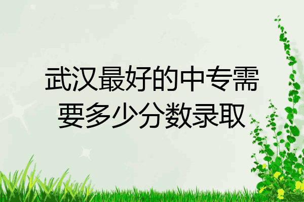 武汉最好的中专需要多少分数录取