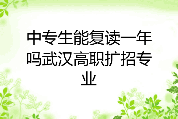 中专生能复读一年吗武汉高职扩招专业