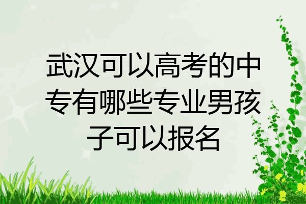武汉可以高考的中专有哪些专业男孩子可以报名