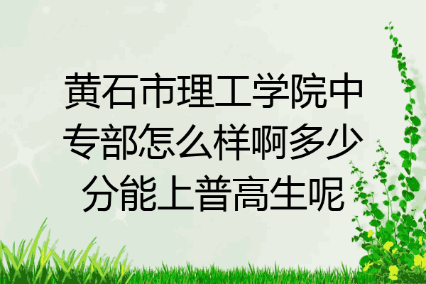 黄石市理工学院中专部怎么样啊多少分能上普高生呢