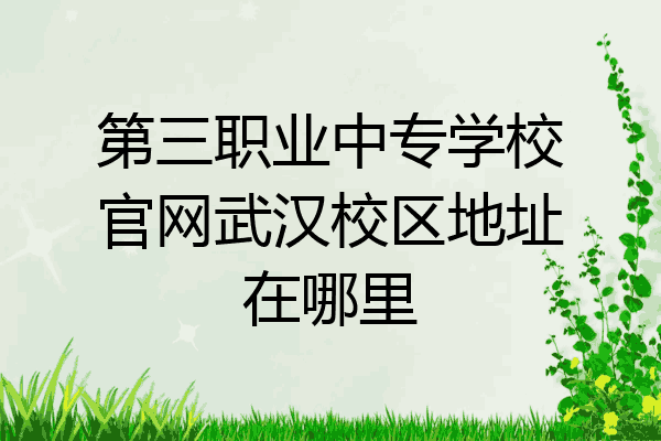 第三职业中专学校官网武汉校区地址在哪里