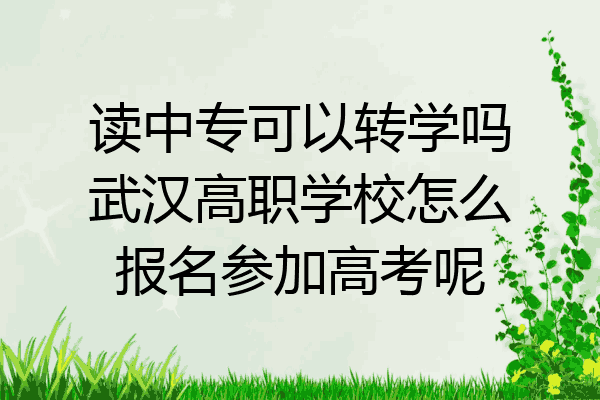 读中专可以转学吗武汉高职学校怎么报名参加高考呢