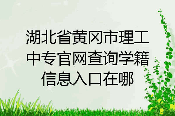 湖北省黄冈市理工中专官网查询学籍信息入口在哪