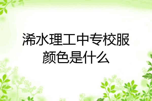 浠水理工中专校服颜色是什么