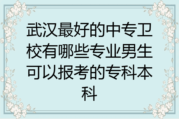 武汉最好的中专卫校有哪些专业男生可以报考的专科本科