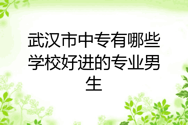武汉市中专有哪些学校好进的专业男生