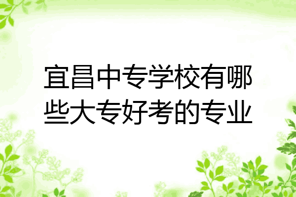 宜昌中专学校有哪些大专好考的专业