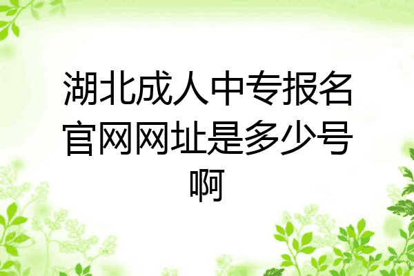 湖北成人中专报名官网网址是多少号啊