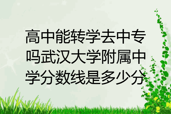 高中能转学去中专吗武汉大学附属中学分数线是多少分