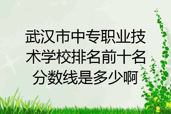 武汉市中专职业技术学校排名前十名分数线是多少啊