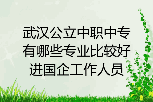 武汉公立中职中专有哪些专业比较好进国企工作人员