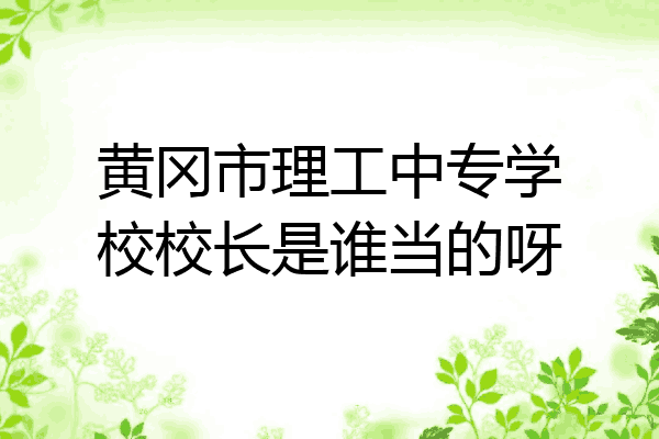 黄冈市理工中专学校校长是谁当的呀