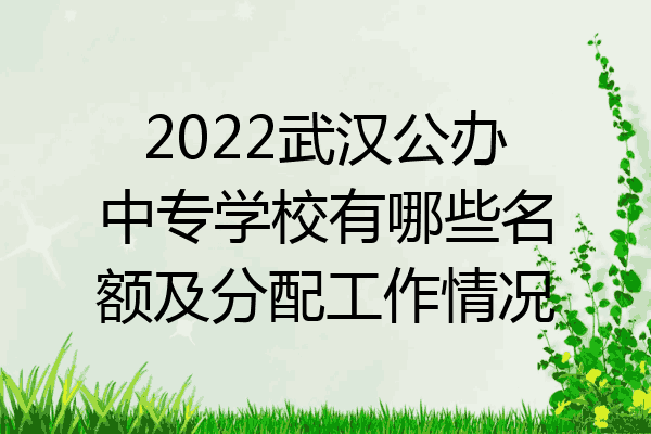 2022武汉公办中专学校有哪些名额及分配工作情况