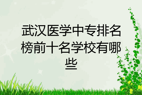武汉医学中专排名榜前十名学校有哪些
