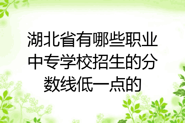 湖北省有哪些职业中专学校招生的分数线低一点的