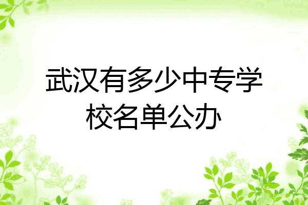 武汉有多少中专学校名单公办