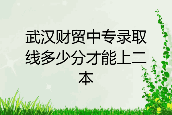 武汉财贸中专录取线多少分才能上二本