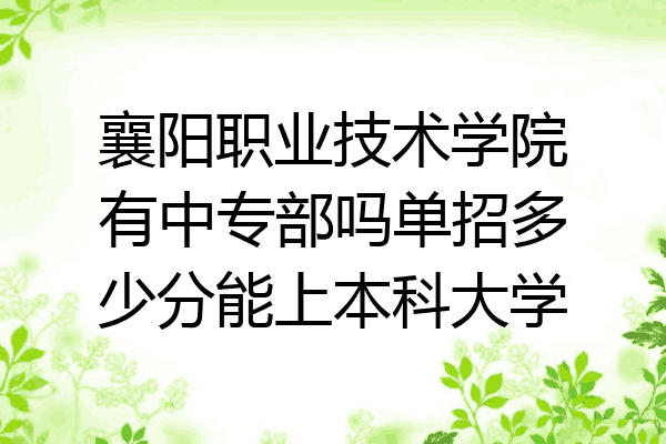 襄阳职业技术学院有中专部吗单招多少分能上本科大学