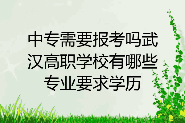 中专需要报考吗武汉高职学校有哪些专业要求学历