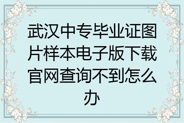武汉中专毕业证图片样本电子版下载官网查询不到怎么办