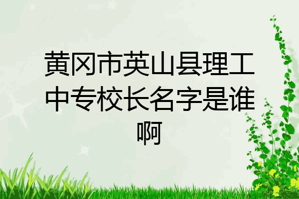 黄冈市英山县理工中专校长名字是谁啊