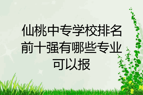 仙桃中专学校排名前十强有哪些专业可以报