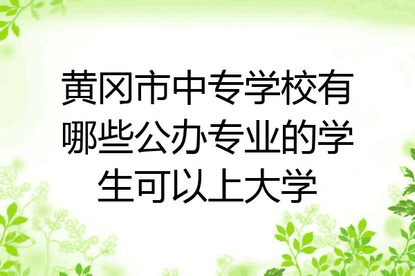 黄冈市中专学校有哪些公办专业的学生可以上大学