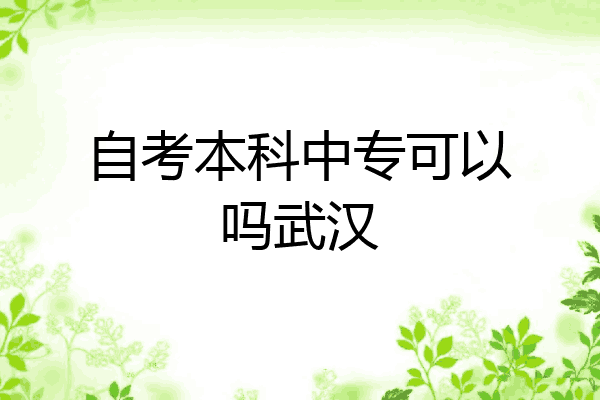 自考本科中专可以吗武汉
