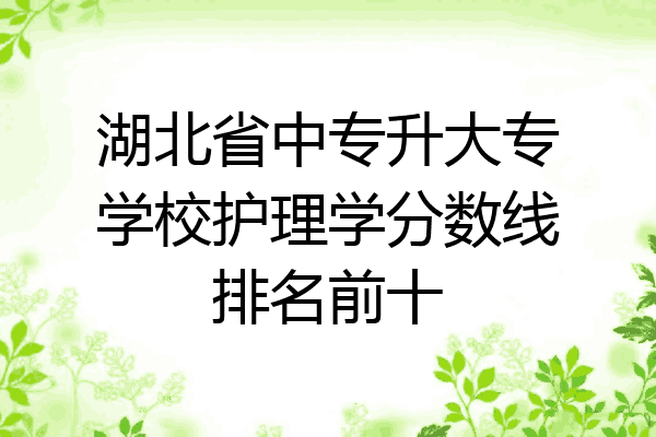 湖北省中专升大专学校护理学分数线排名前十