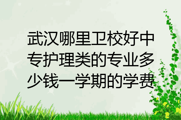 武汉哪里卫校好中专护理类的专业多少钱一学期的学费