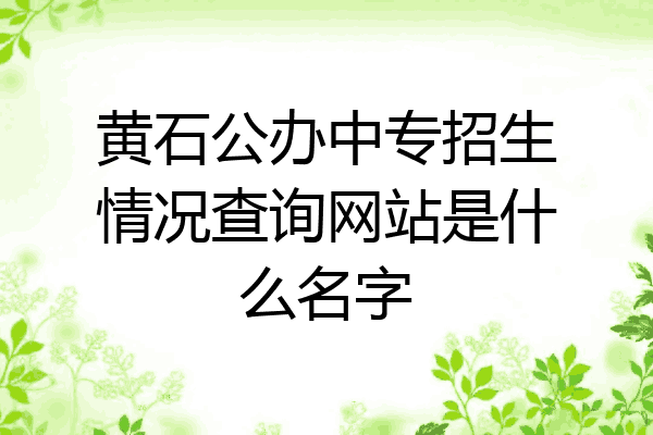 黄石公办中专招生情况查询网站是什么名字