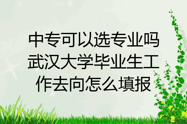 中专可以选专业吗武汉大学毕业生工作去向怎么填报