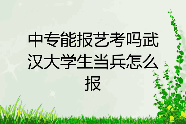 中专能报艺考吗武汉大学生当兵怎么报
