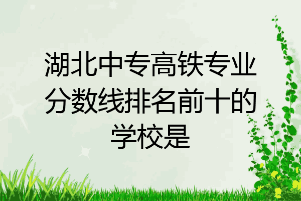 湖北中专高铁专业分数线排名前十的学校是