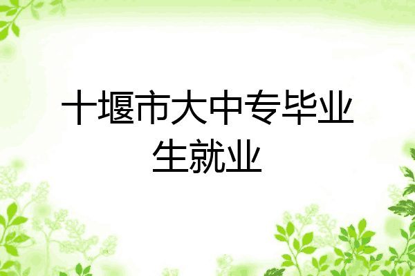 十堰市大中专毕业生就业