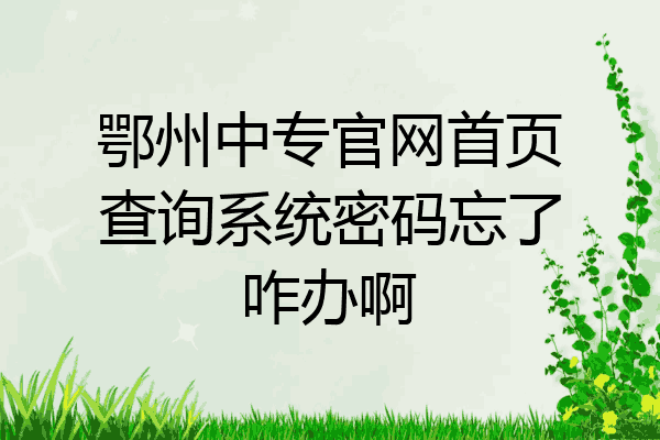 鄂州中专官网首页查询系统密码忘了咋办啊