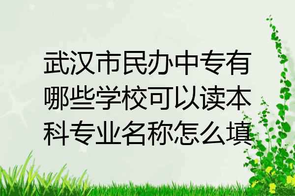 武汉市民办中专有哪些学校可以读本科专业名称怎么填