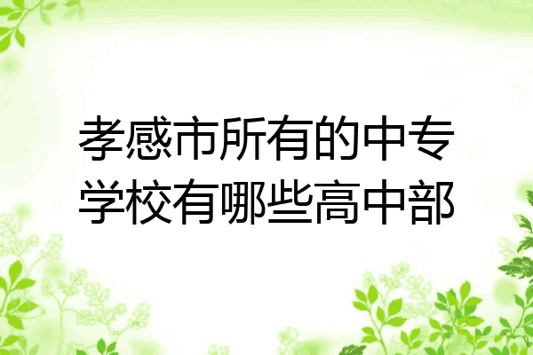 孝感市所有的中专学校有哪些高中部