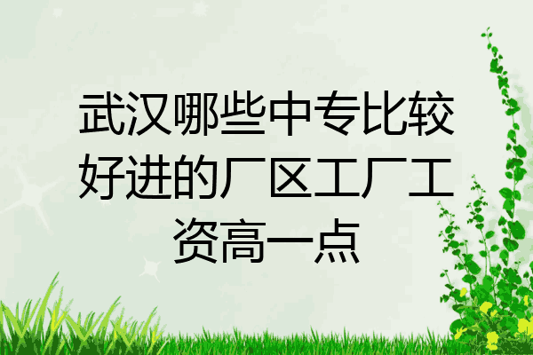 武汉哪些中专比较好进的厂区工厂工资高一点