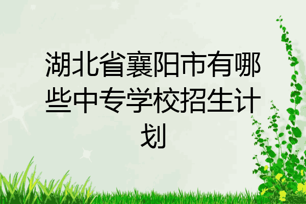 湖北省襄阳市有哪些中专学校招生计划