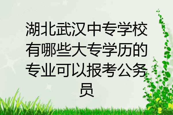 湖北武汉中专学校有哪些大专学历的专业可以报考公务员