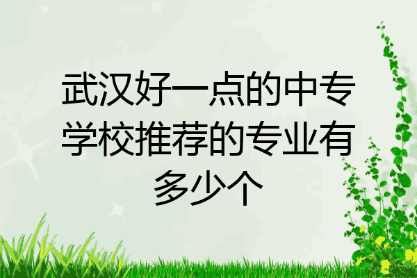 武汉好一点的中专学校推荐的专业有多少个