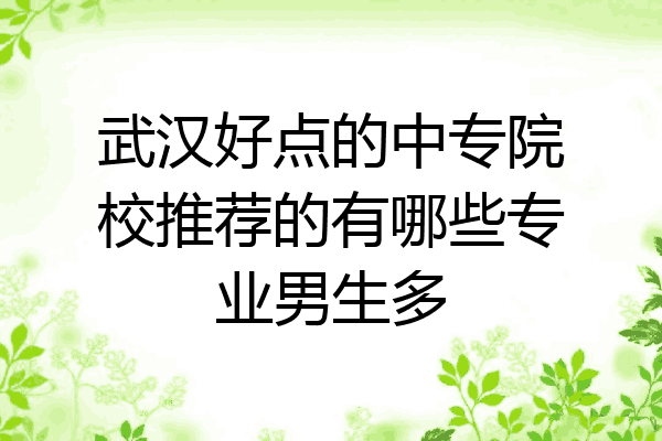 武汉好点的中专院校推荐的有哪些专业男生多