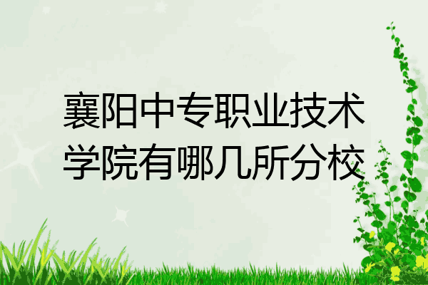 襄阳中专职业技术学院有哪几所分校