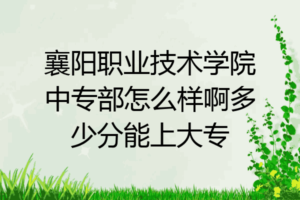 襄阳职业技术学院中专部怎么样啊多少分能上大专
