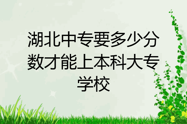 湖北中专要多少分数才能上本科大专学校
