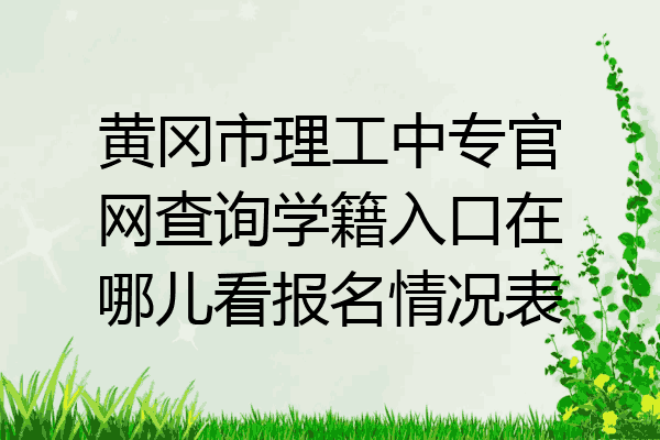黄冈市理工中专官网查询学籍入口在哪儿看报名情况表